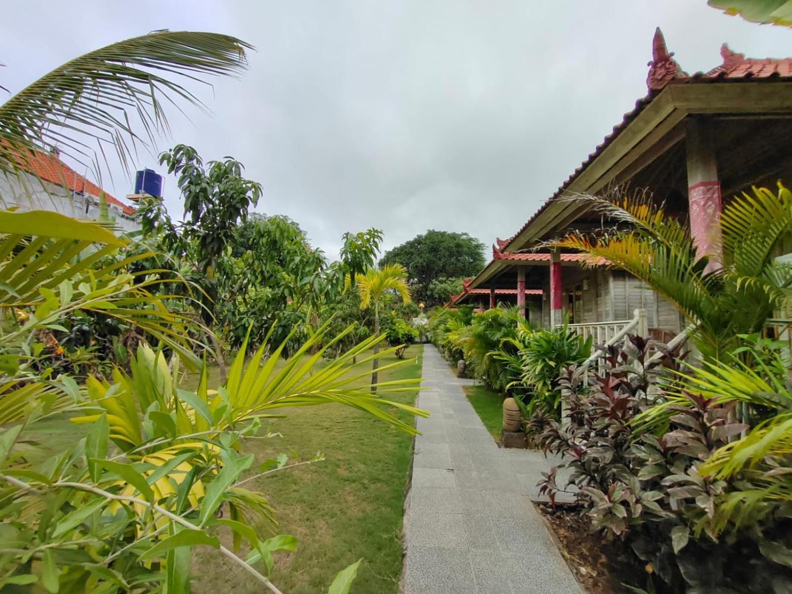 The Canda Mushroom Beach Lembongan Eksteriør bilde